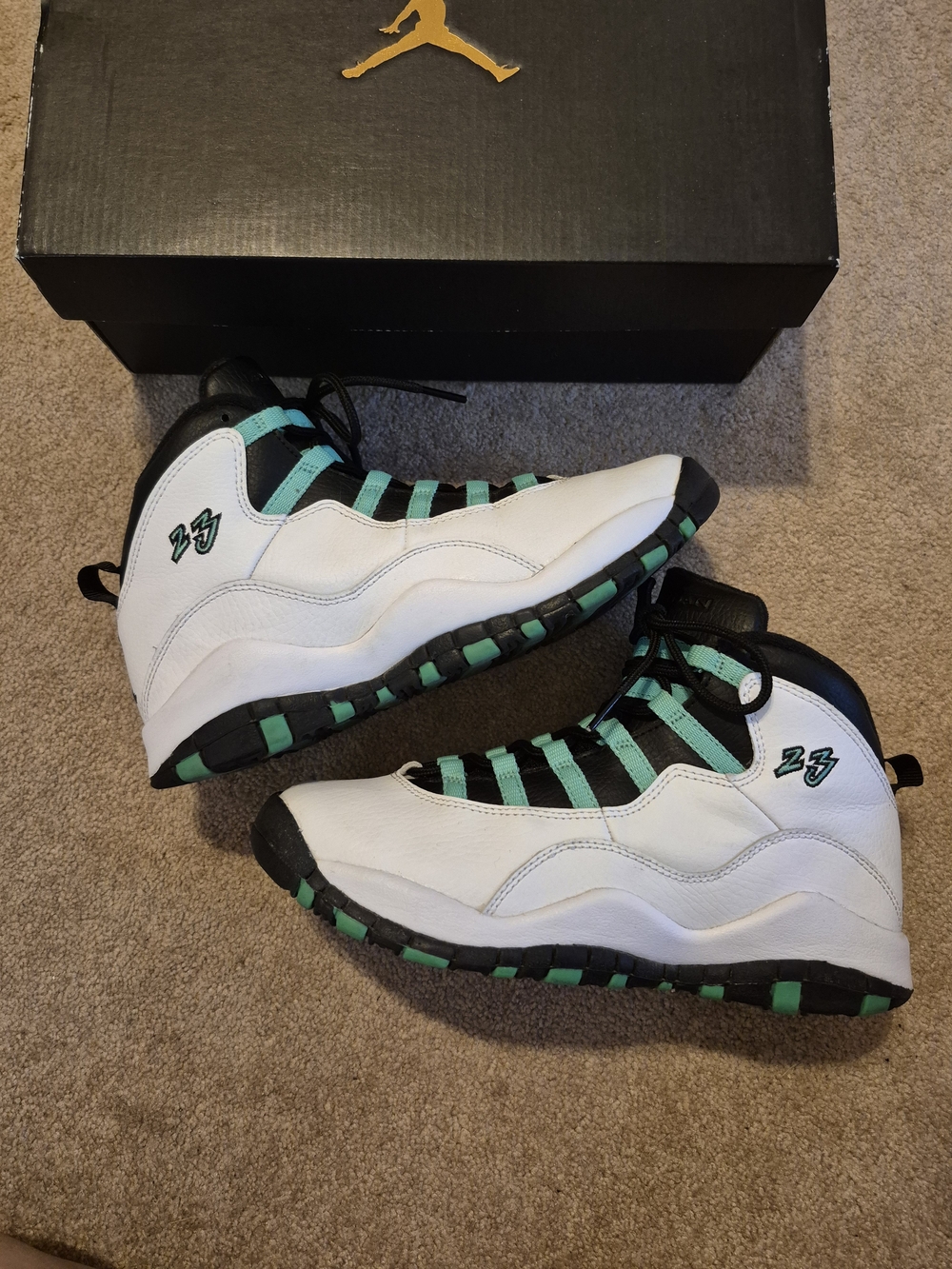 Air Jordan 10 Retro Verde 30th GG 6Y